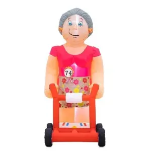 Indoor Sarah rollator